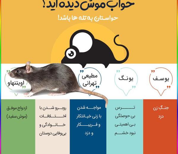 عکس تعبیر خواب کلاه پشمی قهوه ای