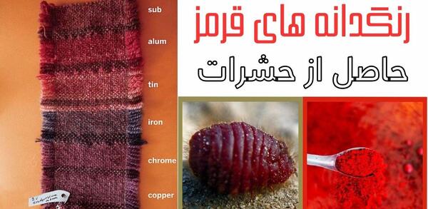 عکس اسم کلاه پشمی سرخ ترکان عثمانی
