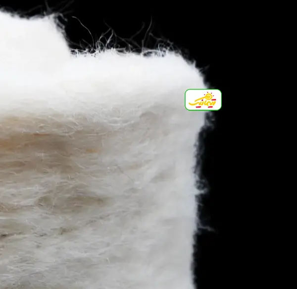 عکس کلاه پشمی اصلی