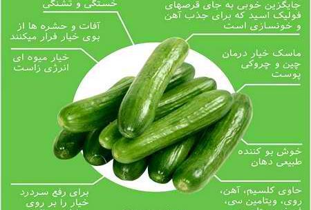عکس میوه های جهنمی