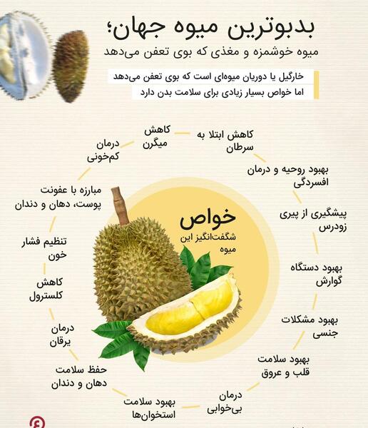 عکس میوه های جهنمی