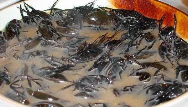 عکس غذای جهنمی