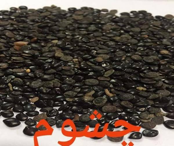 عکس سنگ جهنمی