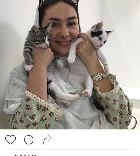 عکس های بامزه گربه ها