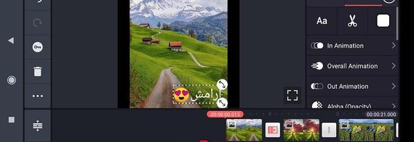 ادیت عکس با کاین مستر
