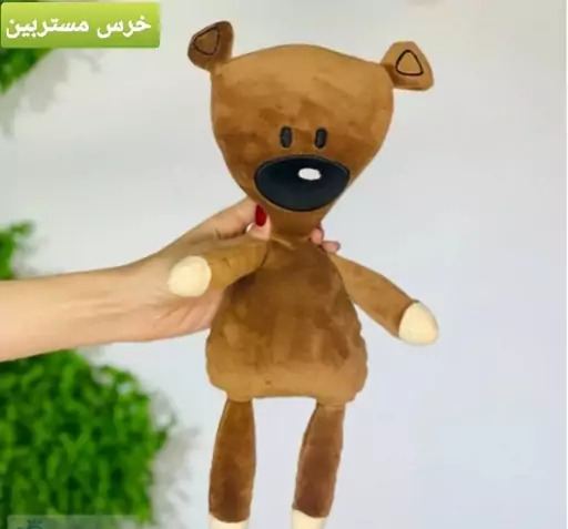 عکس خرس مستربین واقعی