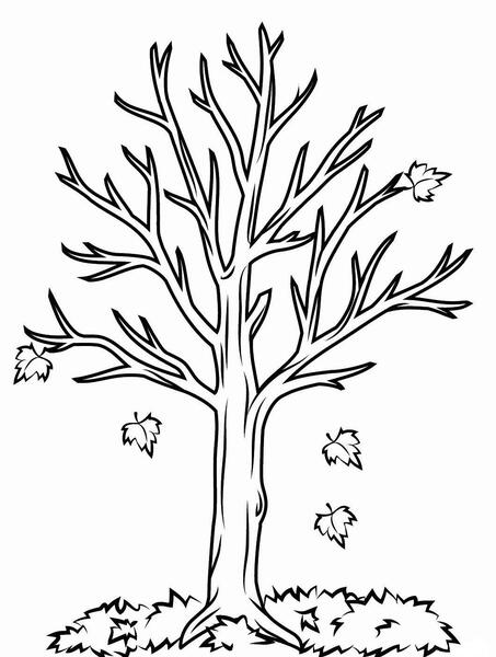 عکس ایده برای نقاشی پاییزی