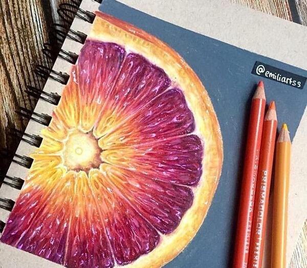 عکس ایده نقاشی میوه با مداد رنگی