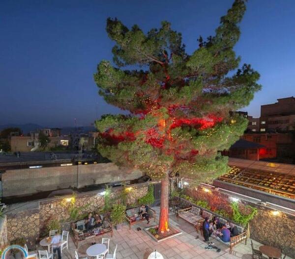 عکس باغ رستوران شب نشین