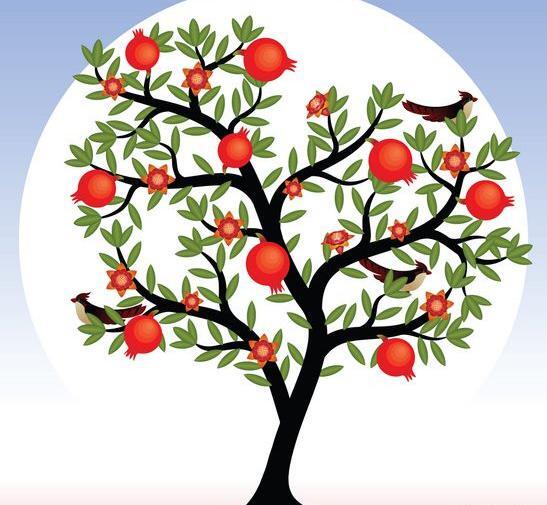 عکس نقاشی ساده انار برای کودکان