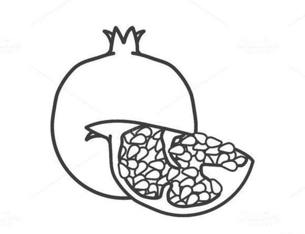 عکس آموزش نقاشی انار ساده