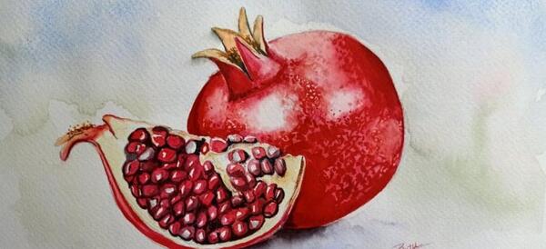 عکس آموزش نقاشی انار ساده