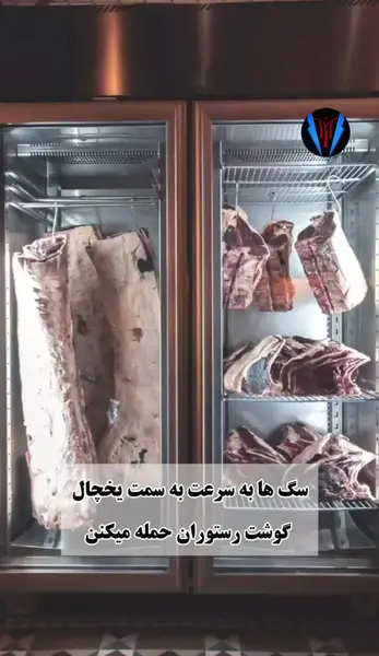 عکس صاحب رستوران جاده چالوس
