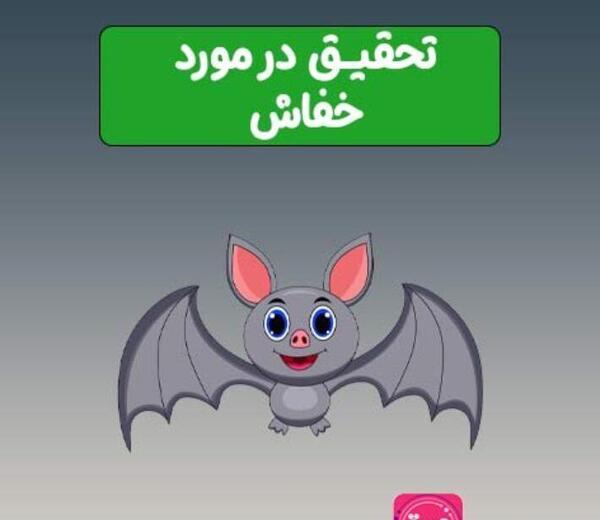عکس نقاشی ساده خفاش برای کودکان