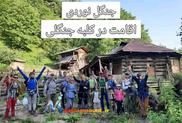 عکس کلبه در وسط جنگل