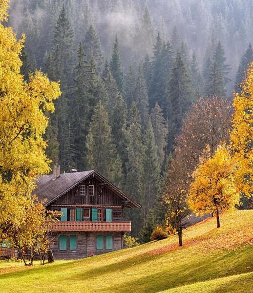 عکس نوشته دلم یک کلبه میخواهد