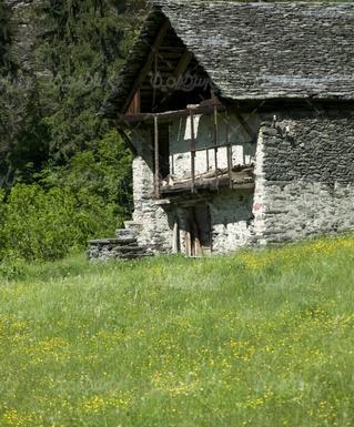 عکس از کلبه چوبی قدیمی