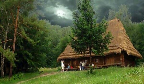 عکس از کلبه در طبیعت