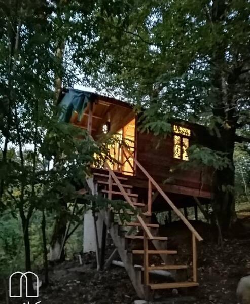 عکس کلبه های جنگلی شمال