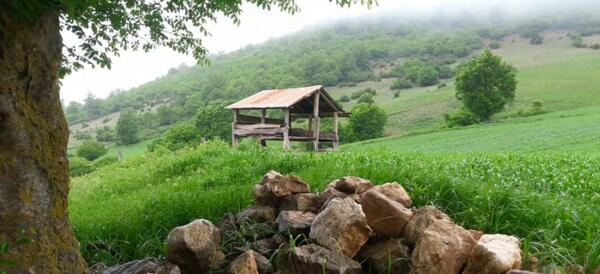 عکس کلبه در جنگل بارانی