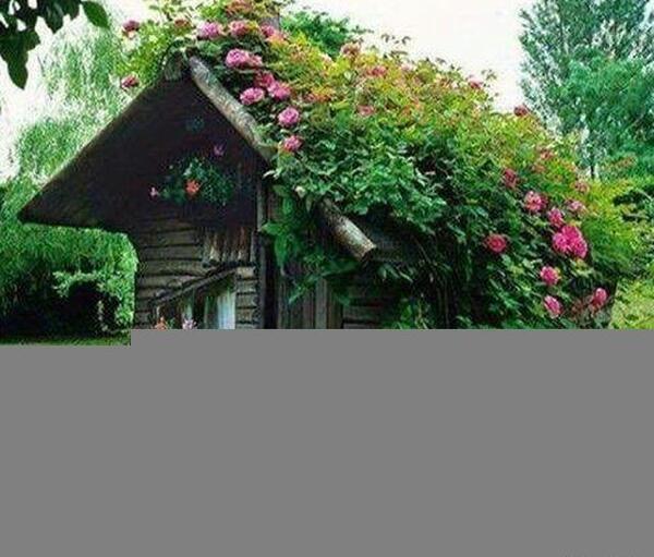 عکس کلبه دوستی برای پروفایل