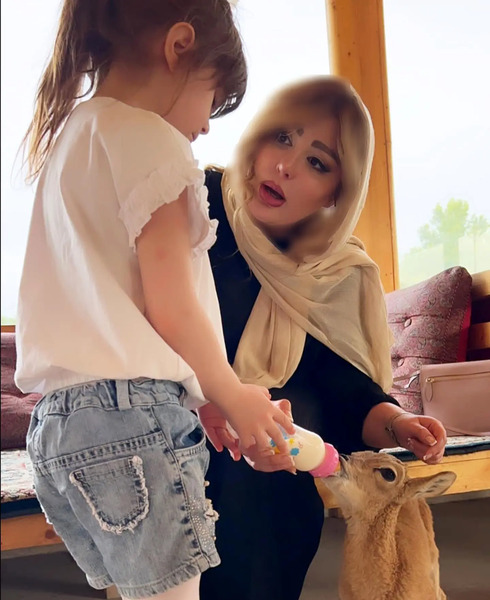 عکس اسباب بازی کلبه وحشت
