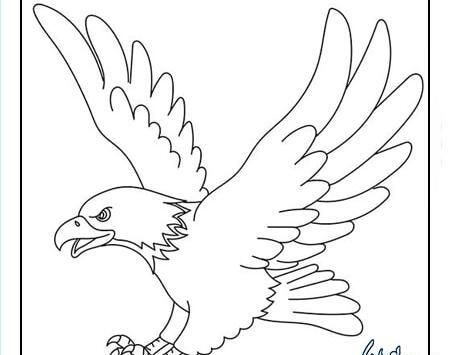 عکس نقاشی عقاب و خفاش ساده