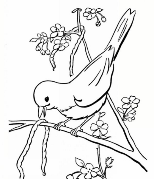 عکس ایده ی نقاشی منظره