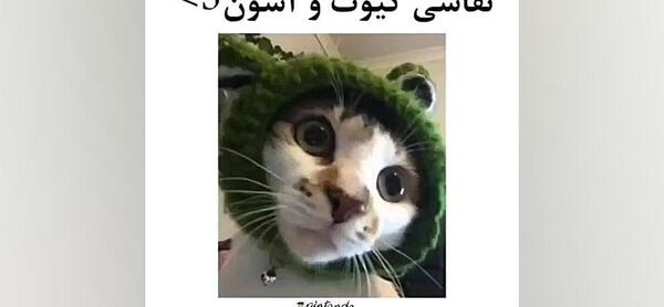 عکس ایده نقاشی پینترست کیوت