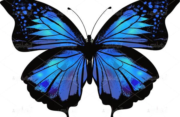 عکس ایده نقاشی پیکسلی پروانه