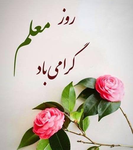 عکس پیام تبریک فرماندار به مناسبت روز زن
