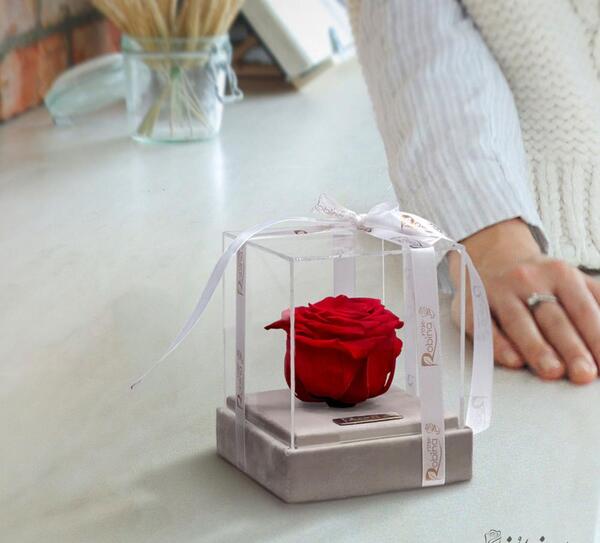 عکس ایده کادو ولنتاین برای رفیق دختر
