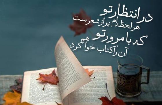 عکس نوشته در مورد کتابخوانی
