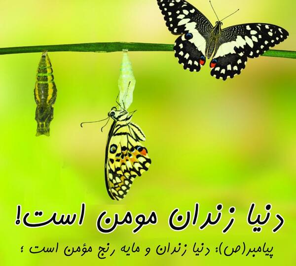 عکس نوشته خدایا مواظب مسافر کربلایم باش