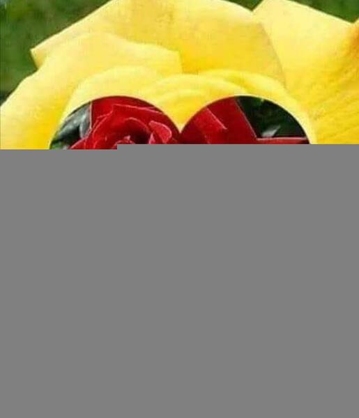 عکس نوشته تقدیم به قلب مهربونتون