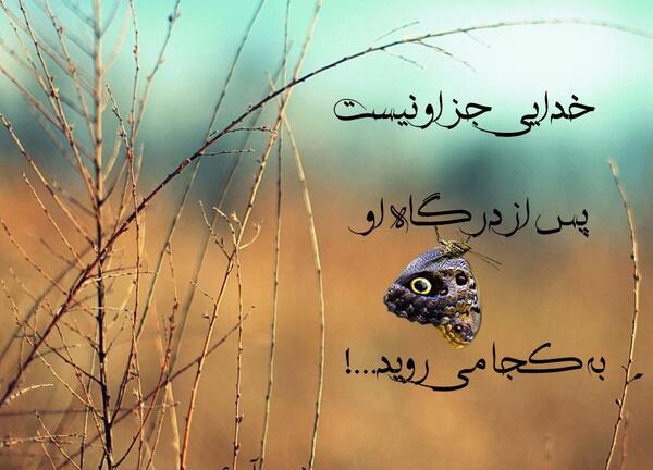 عکس نوشته نصف قلبم مال تو نصف دیگش فدای تو