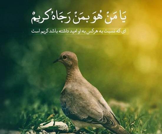 عکس نوشته آیات زیبای قرآن