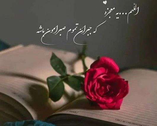 عکس نوشته این دنیا جای قشنگی نیست