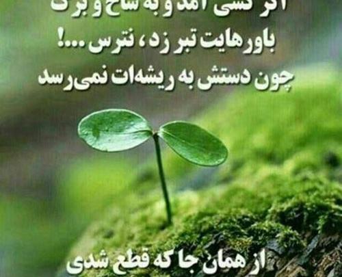 عکس نوشته های عارفانه و فلسفی