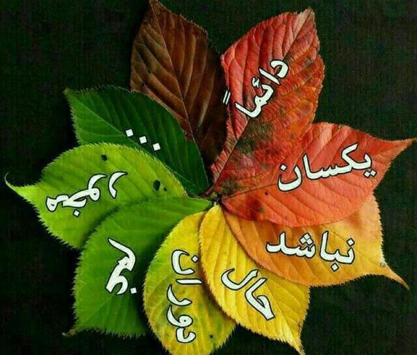 عکس نوشته دائما یکسان نباشد حال دوران غم مخور