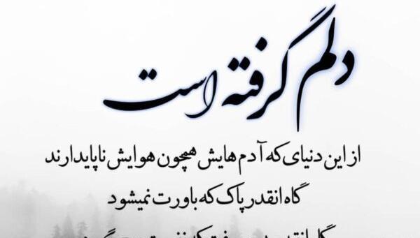 عکس نوشته دلم غم دارد امشب