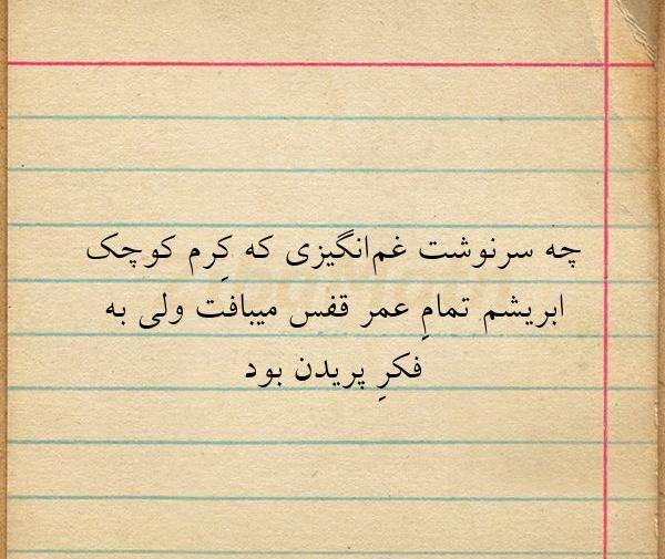 عکس نوشته چه سرنوشت غم انگیزی که کرم کوچک ابریشم