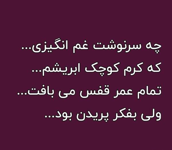عکس نوشته چه سرنوشت غم انگیزی که کرم کوچک ابریشم
