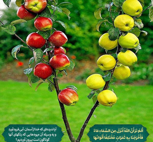 دانلود عکس نوشته طبیعت