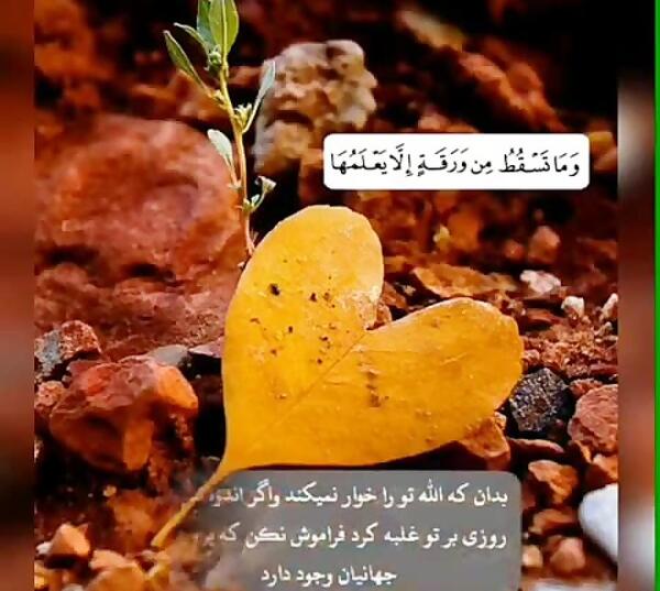 عکس نوشته آیه قرآن در مورد صبر