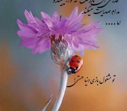 عکس نوشته معجزه کن صبر مرا