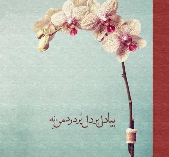 عکس نوشته از شعرهای مولانا