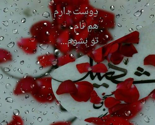 عکس نوشته به یاد شهدا