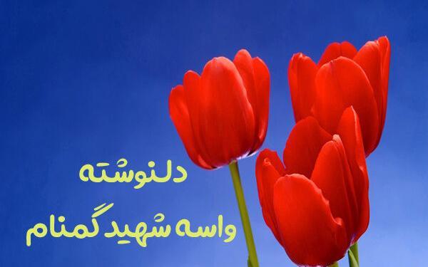عکس نوشته درباره شهید گمنام