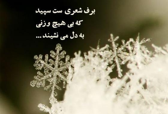 عکس نوشته همه رفتند تا زمستان شد